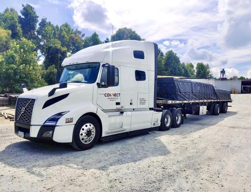 Asset Carrier vs Broker: What Shippers Need