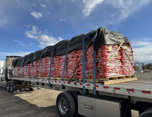 Mexico Trucker Strike Suspended: What Arizona Shippers Should Know